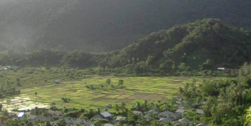 LAHAN PERTANIAN (SAWAH) GAMPONG LAMBARO NEJID TERLIHAT DARI ATAS BUKIT 